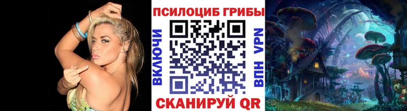 цены наркотик  Саранск  Псилоцибиновые грибы ЛСД 